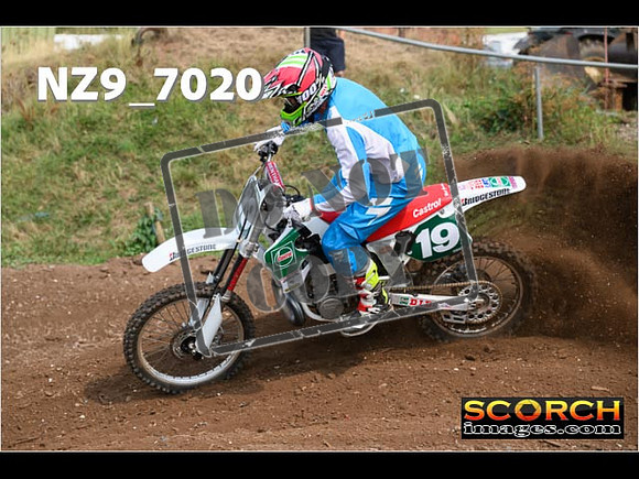 Experts-417