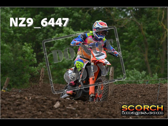 Experts-259