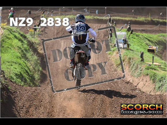 Experts-135