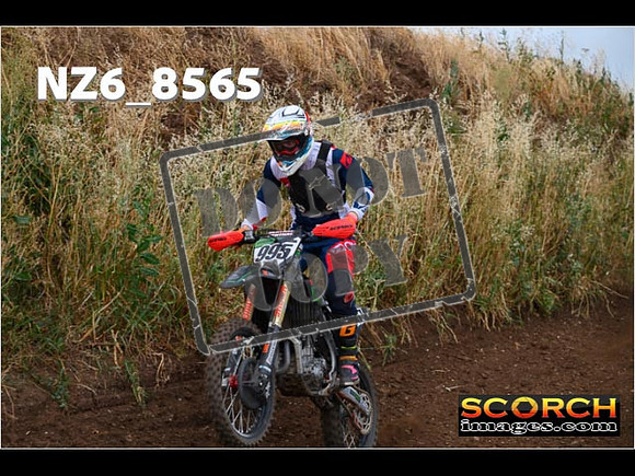 Experts-085