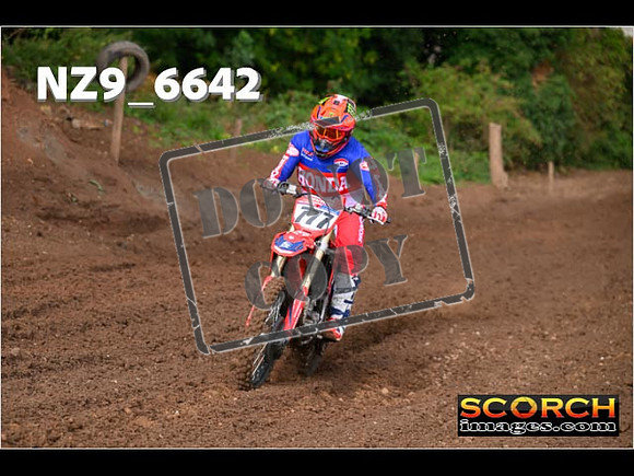 Red- Over 60-024