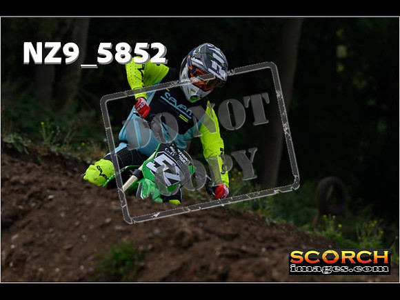 IntersGreen-042