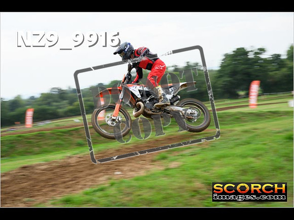 Experts-140