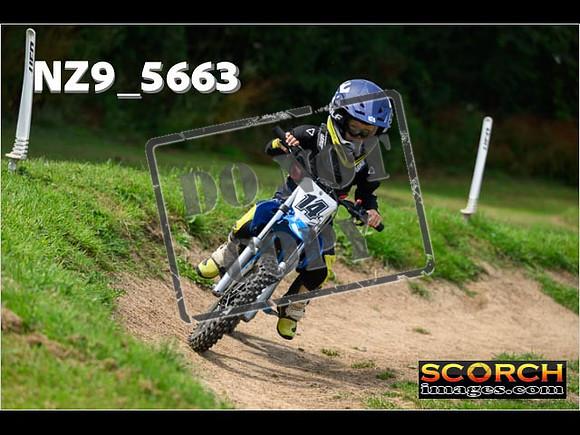 PeeWee Track-044