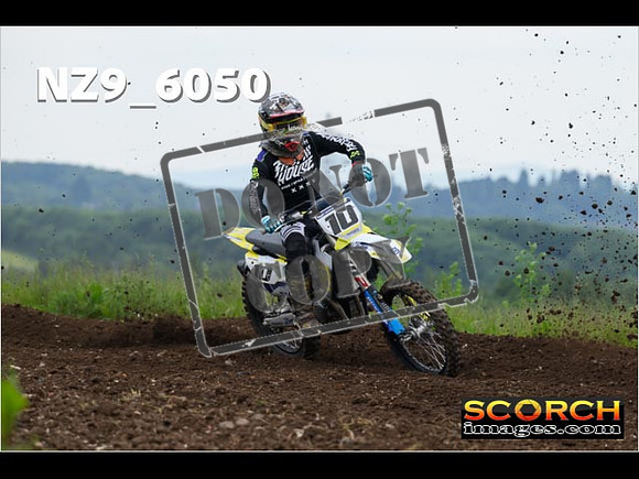 Experts-157