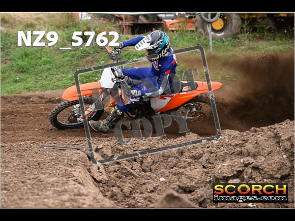Experts-232