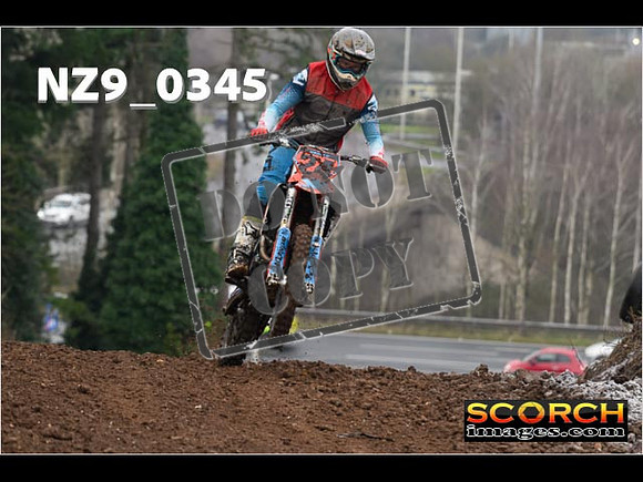 IntersGreenOrange-060