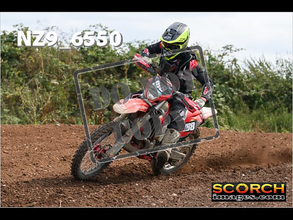 Experts-259