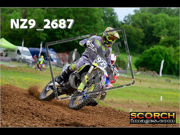 Novice-276