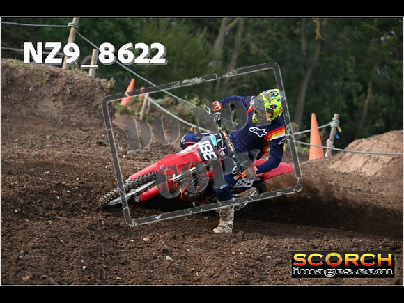 Experts-031