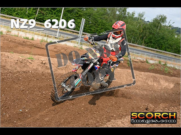 Experts-119