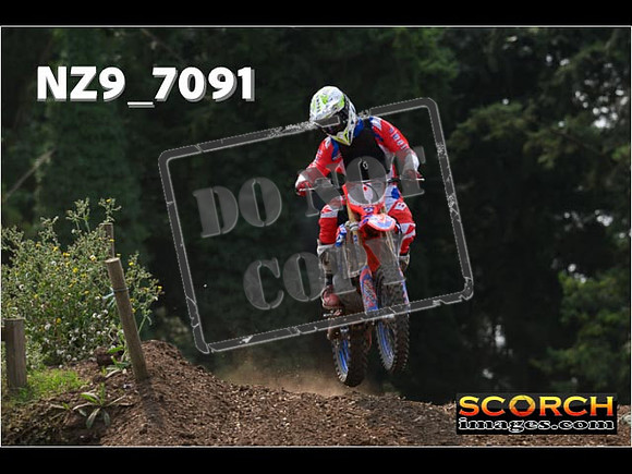 Experts-482