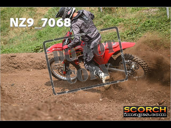 Experts-463