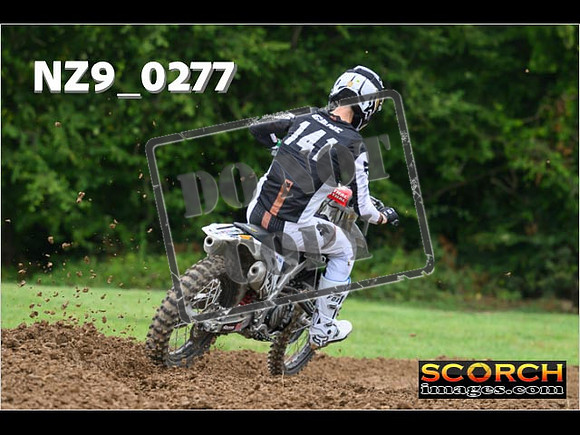 Novice-251