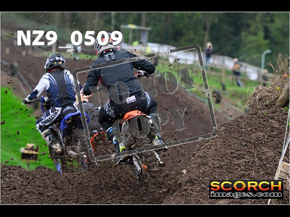 Experts-065