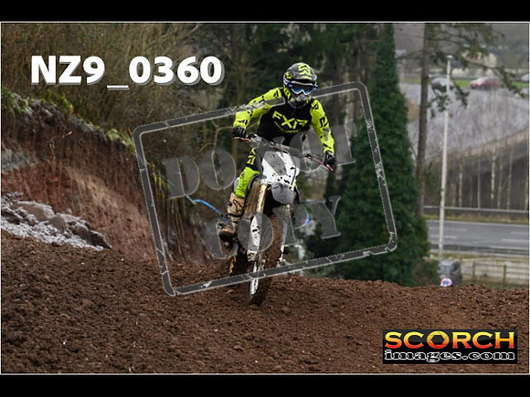 IntersGreenOrange-074