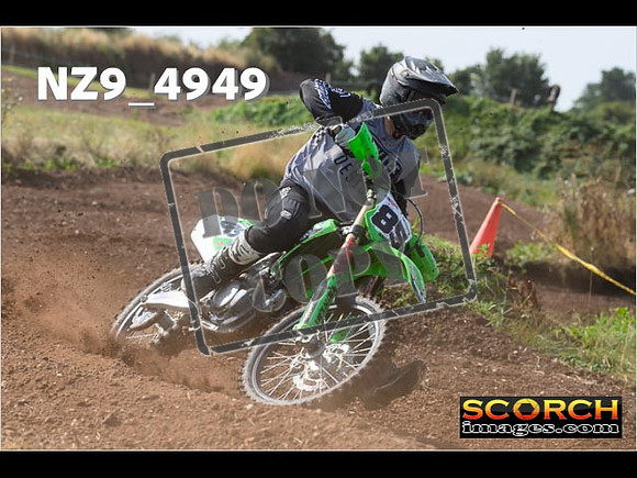 Experts-032