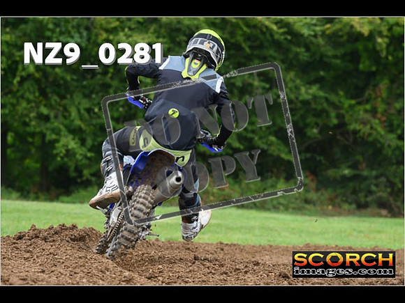 Novice-255