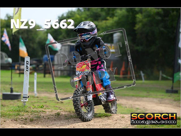 PeeWee Track-043