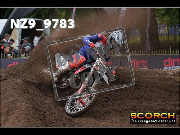 MX1-331