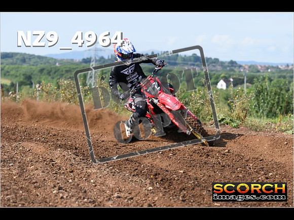 Experts-044