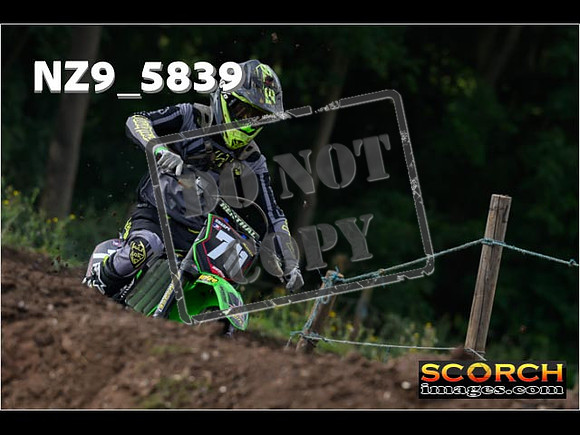 IntersGreen-029
