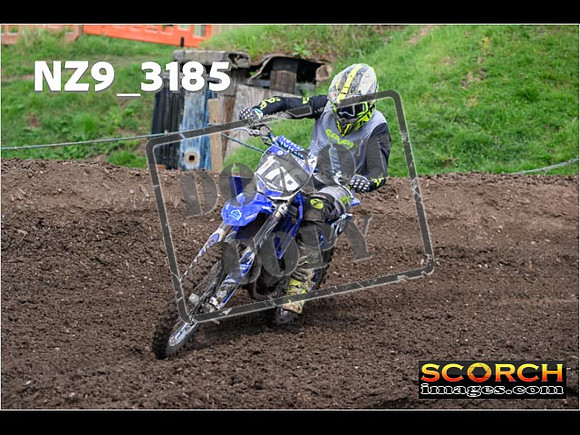 Inters-298
