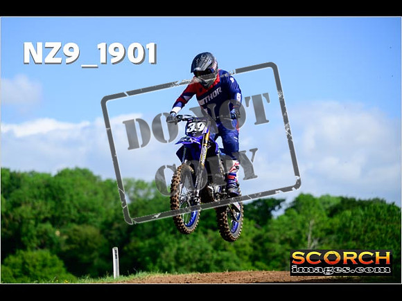 Experts-048