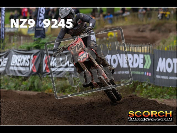 MX1-197