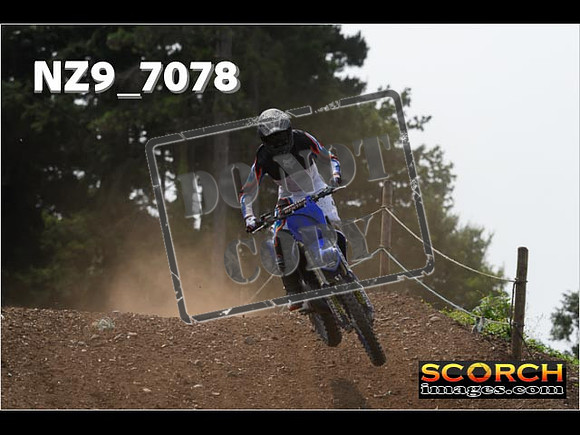 Experts-469