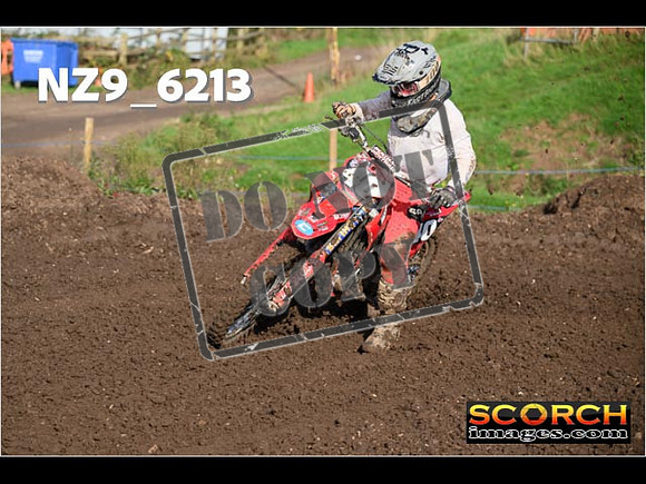 Experts-157