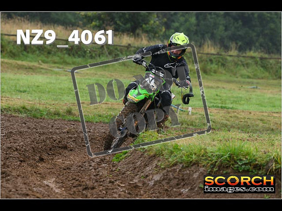 Experts-134