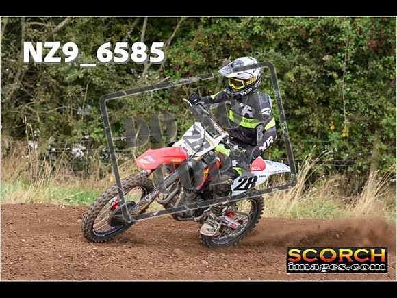 Experts-291