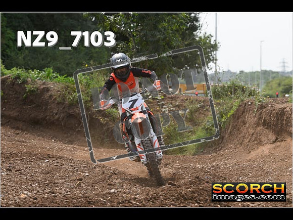 Experts-494