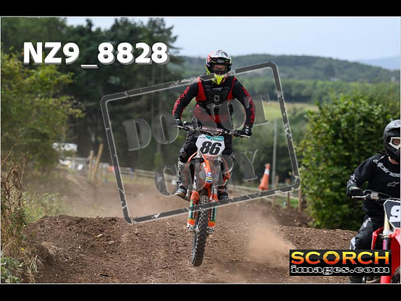 IntersGreen-088