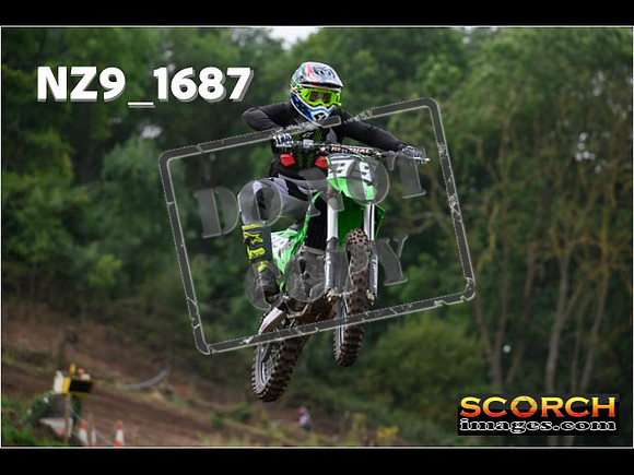 IntersGreenOrange-093