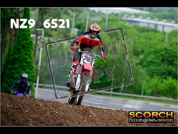 InterGreen-031