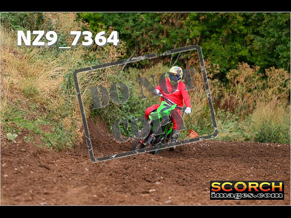 Red- Over 60-248