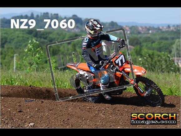 Experts-045