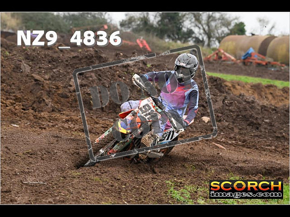 Experts-312