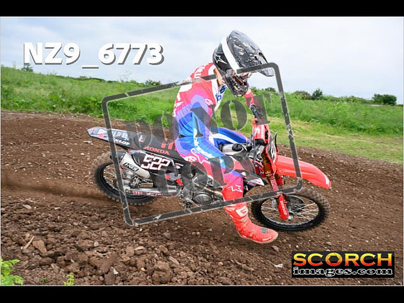 Experts-374