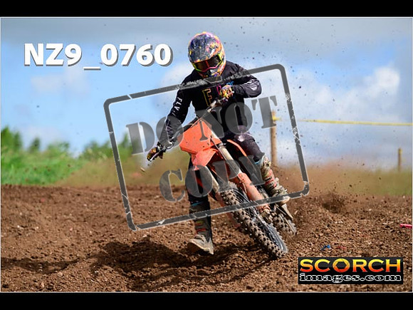 Experts-084