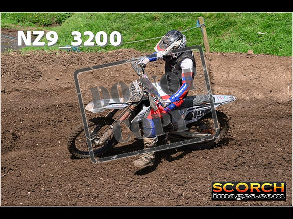 Inters-313