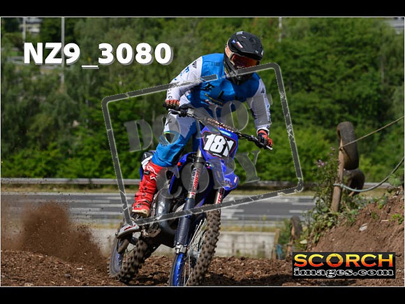 Experts-091