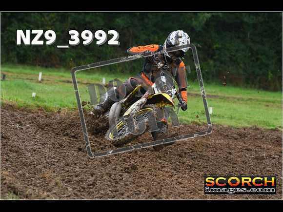 Experts-068