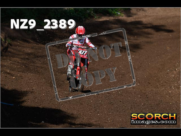 Experts-046