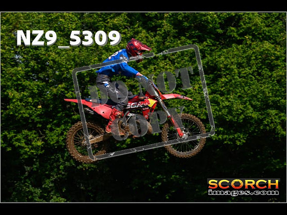 Experts-025