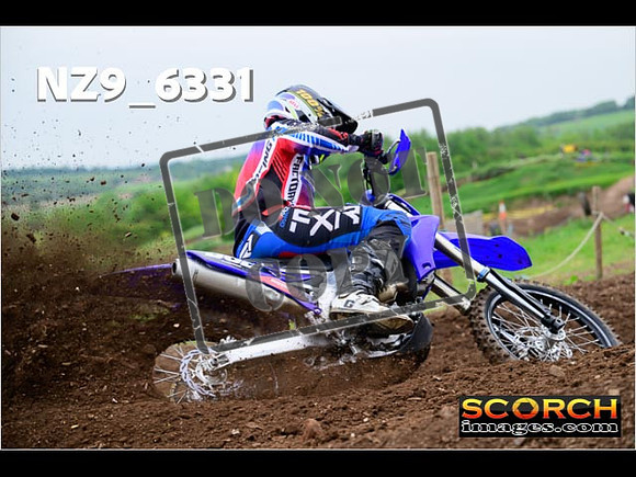 Experts-084