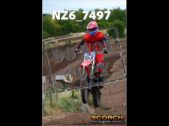 IntersGreen-043