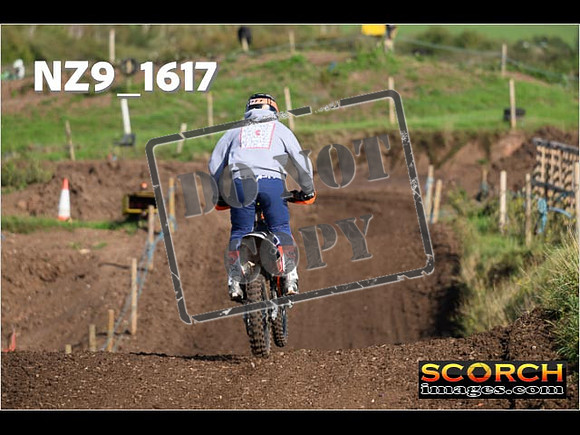 Experts-298